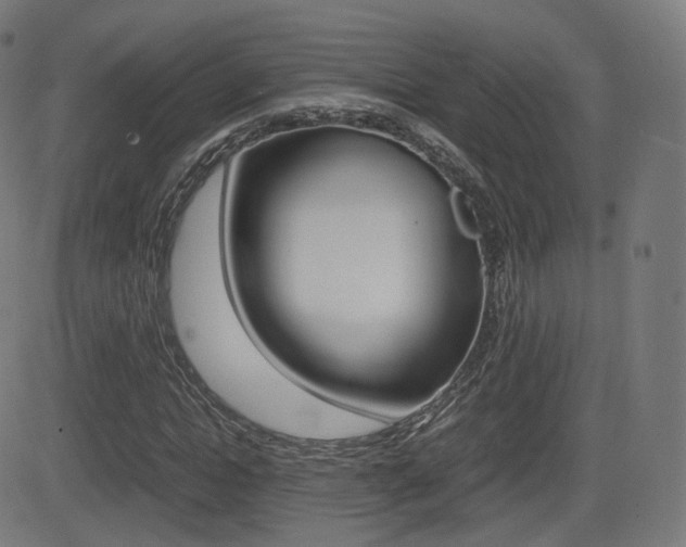 X0000081290822200701110906