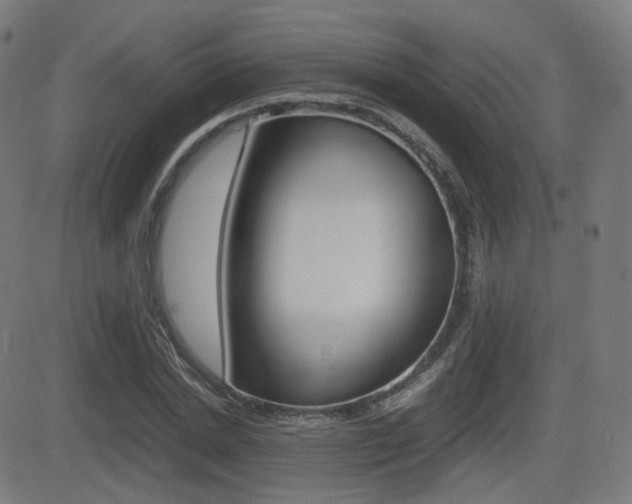 X0000081290830200701110906