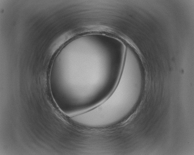 X0000081290834200701110906