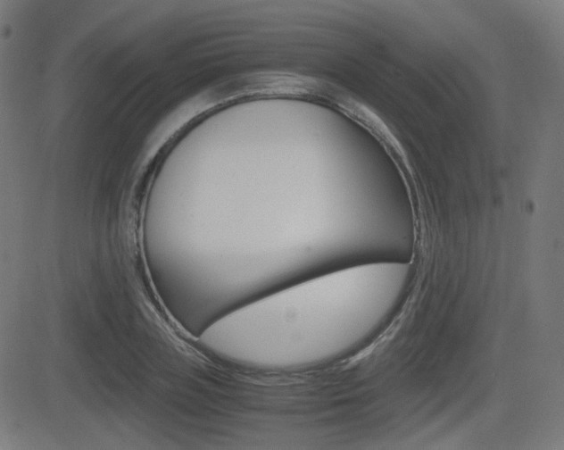 X0000081290835200701110906