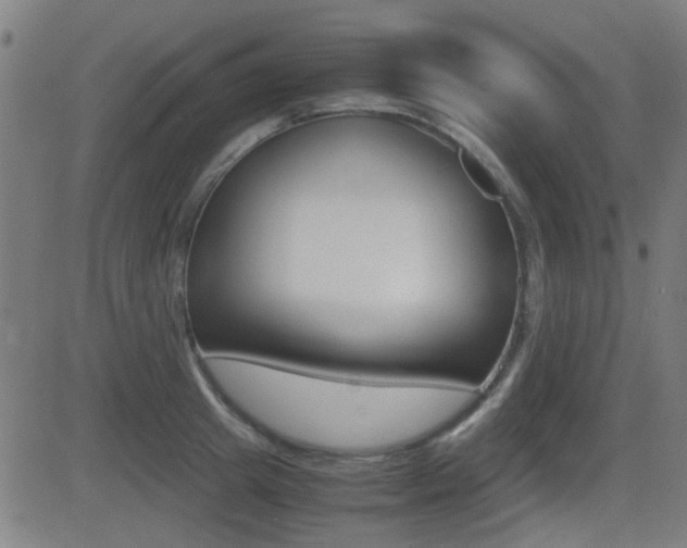 X0000081290849200701110907
