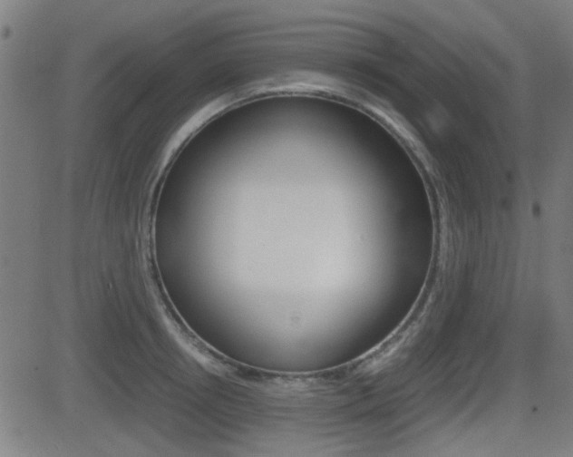X0000081290850200701110907