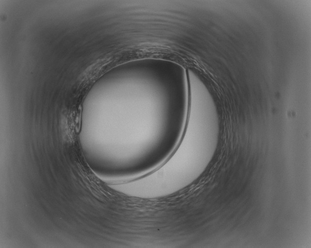 X0000081290868200701110906