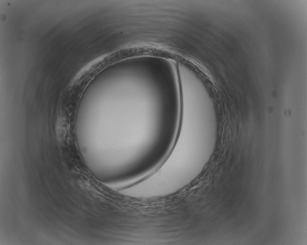 X0000081290872200701110906