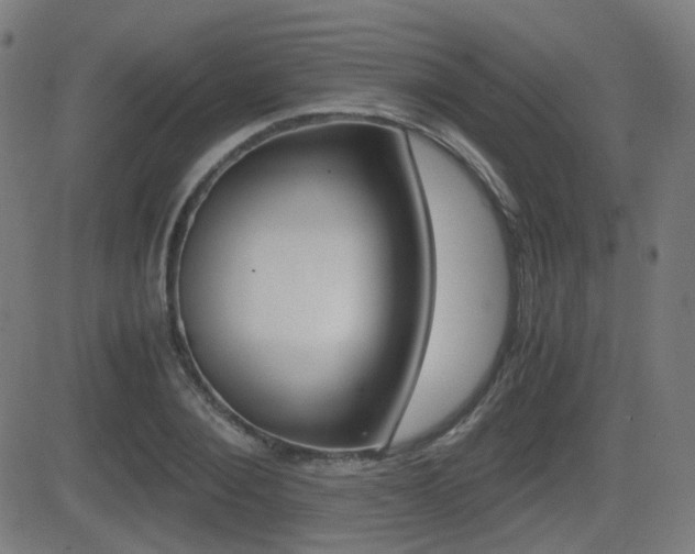 X0000081290884200701110906