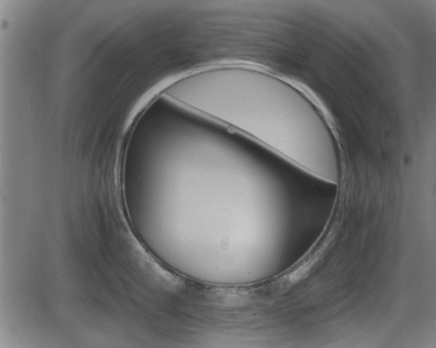 X0000081290910200701110905