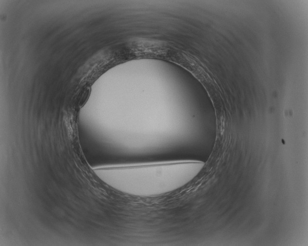 X0000081290915200701110905