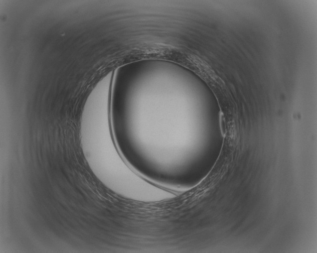 X0000081290916200701110905
