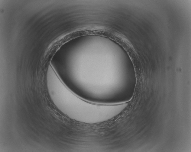 X0000081290920200701110905