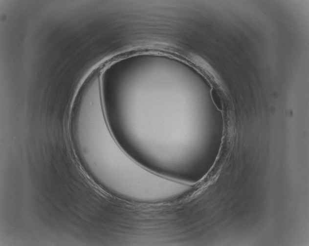 X0000081290924200701110905