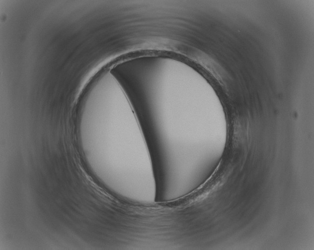 X0000081290926200701110905