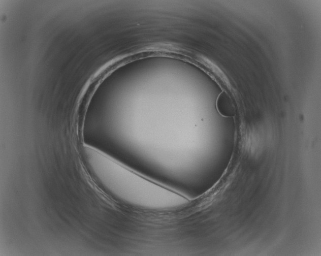 X0000081290931200701110905