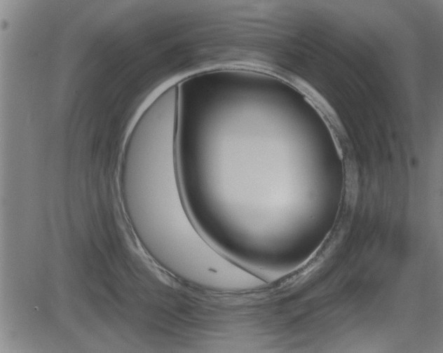 X0000081290956200701110905
