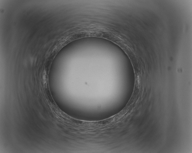X0000081290963200701110904
