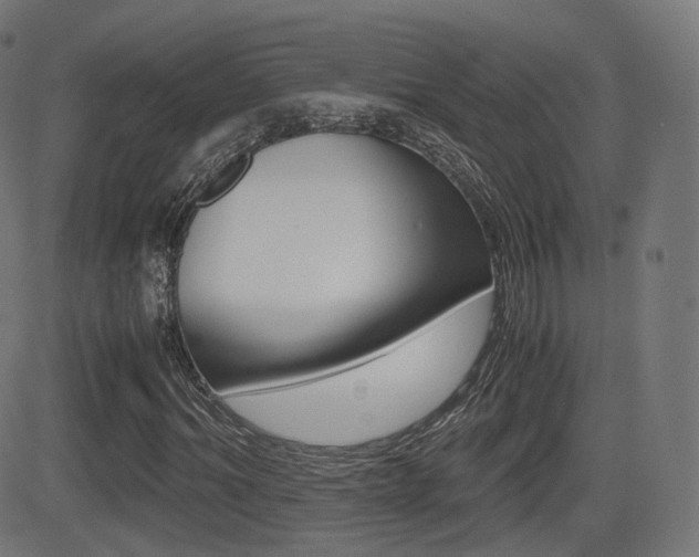X0000081290964200701110904