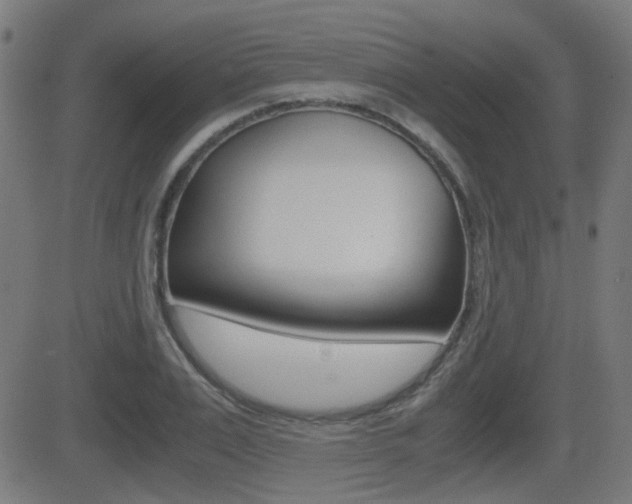 X0000081290983200701110904