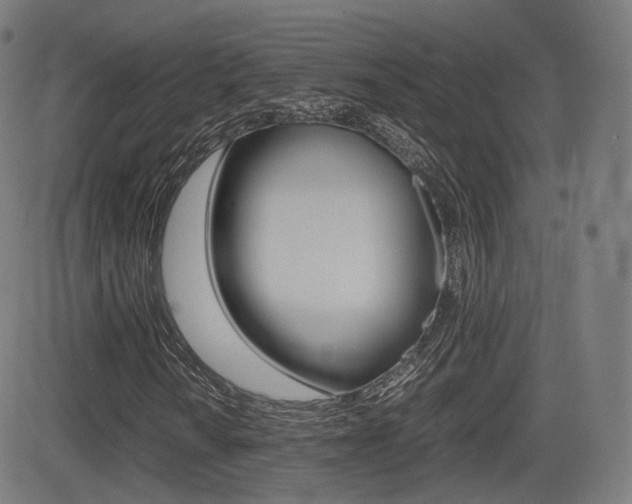 X0000081291010200701110903