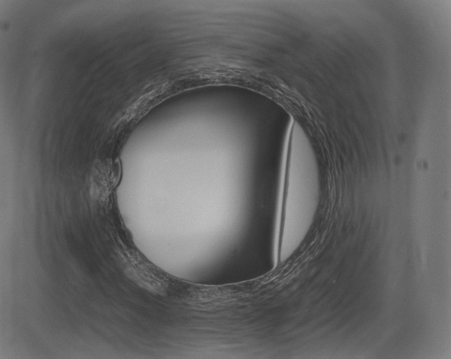 X0000081291012200701110903