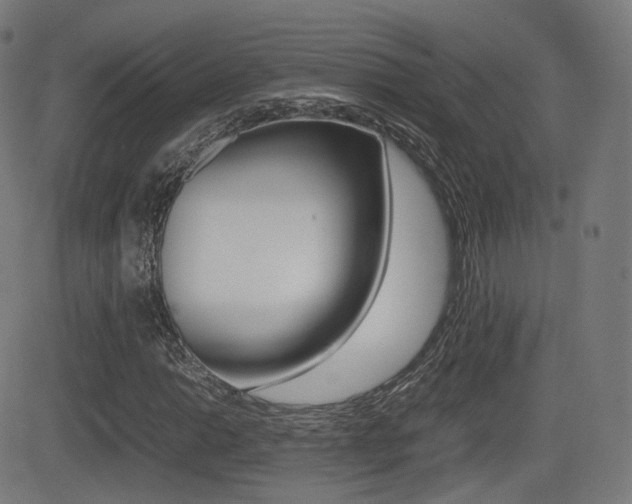 X0000081291014200701110903