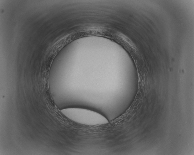 X0000081291015200701110903