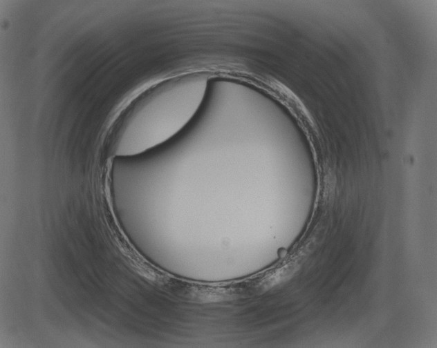 X0000081291019200701110903