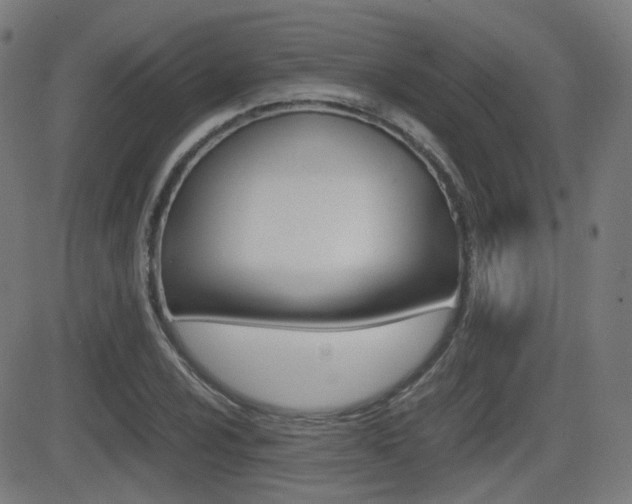 X0000081291024200701110903