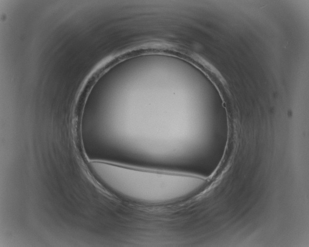 X0000081291029200701110903