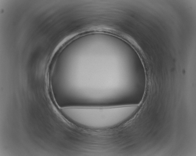 X0000081291032200701110903