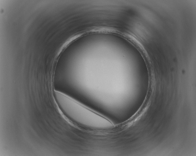 X0000081291041200701110903