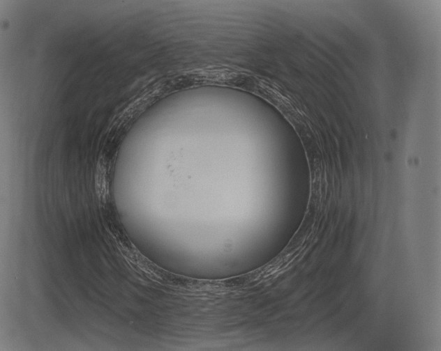 X0000081291058200701110903