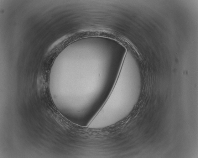 X0000081291064200701110903