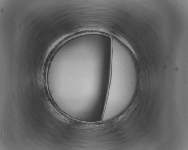 X0000081291068200701110903