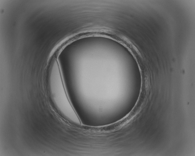 X0000081291069200701110903