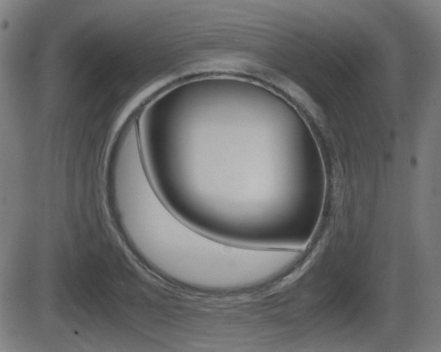 X0000081291077200701110903
