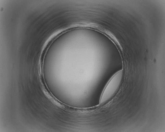 X0000081291080200701110903
