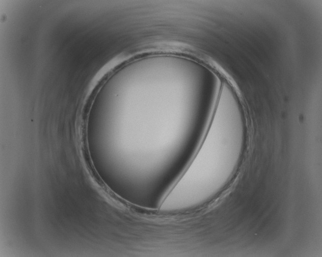 X0000081291085200701110902