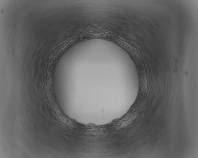 X0000081291105200701110901