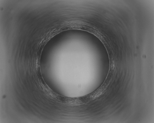 X0000081291108200701110901