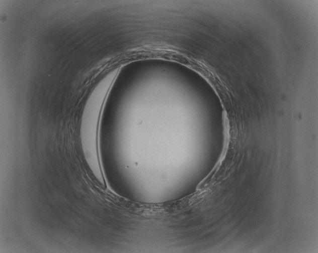 X0000081291110200701110901