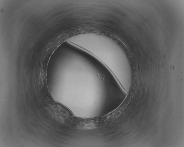X0000081291111200701110901