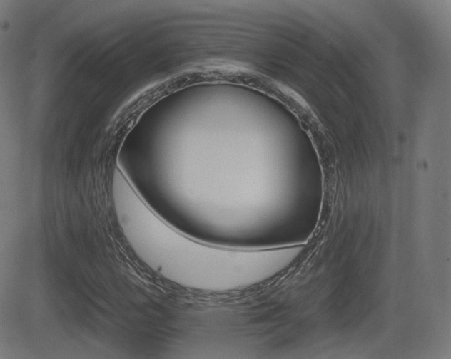 X0000081291112200701110902