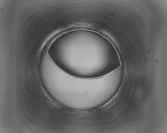 X0000081291115200701110902