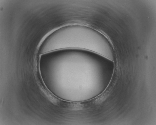 X0000081291120200701110902