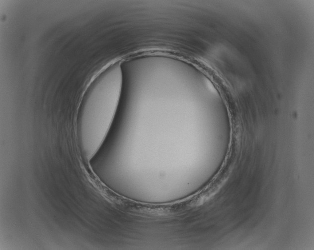 X0000081291121200701110902