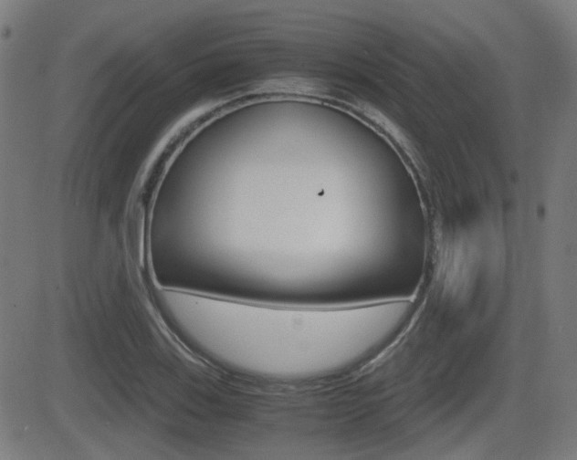 X0000081291123200701110902