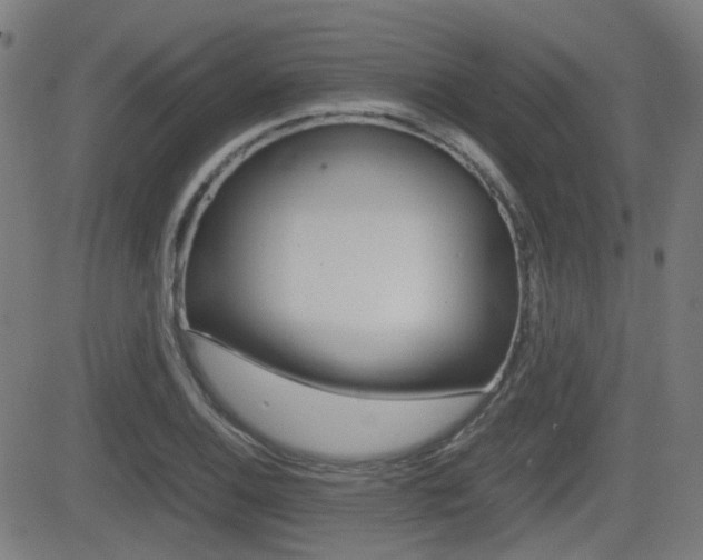 X0000081291124200701110902