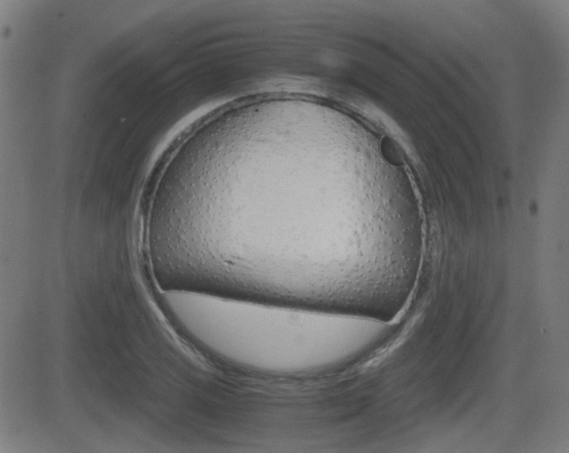 X0000081291125200701110902