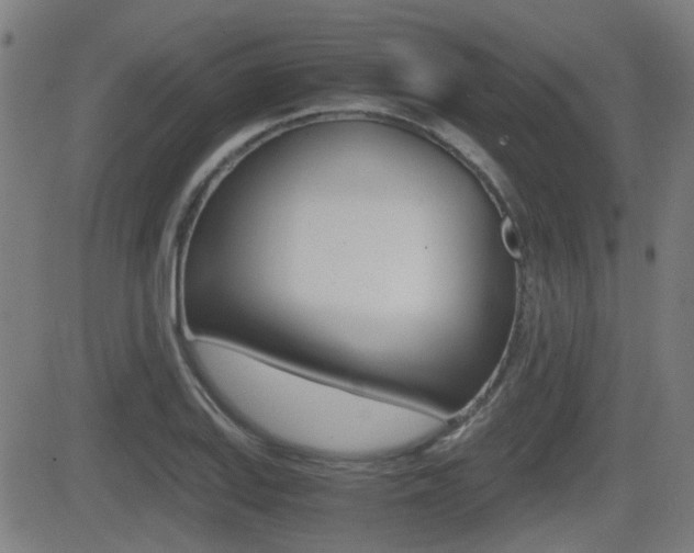 X0000081291127200701110902