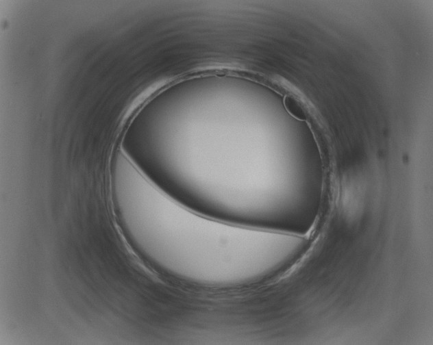 X0000081291129200701110902