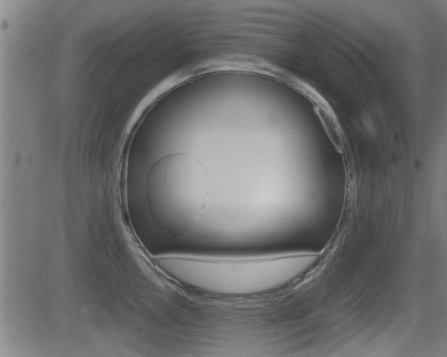 X0000081291146200701110902